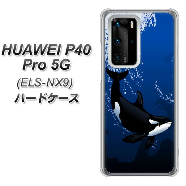 HUAWEI（ファーウェイ） P40 Pro 5G ELS-NX9 高画質仕上げ 背面印刷 ハードケース【423 シャチ】