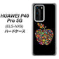 HUAWEI（ファーウェイ） P40 Pro 5G ELS-NX9 高画質仕上げ 背面印刷 ハードケース【1195 カラフルアップル】