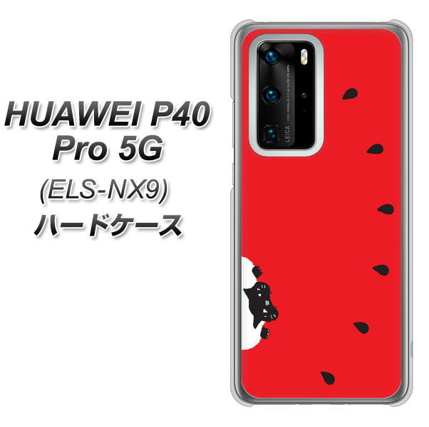 HUAWEI（ファーウェイ） P40 Pro 5G ELS-NX9 高画質仕上げ 背面印刷 ハードケース【IA812 すいかをかじるネコ】