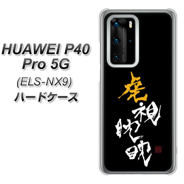 HUAWEI（ファーウェイ） P40 Pro 5G ELS-NX9 高画質仕上げ 背面印刷 ハードケース【OE803 虎視眈々】