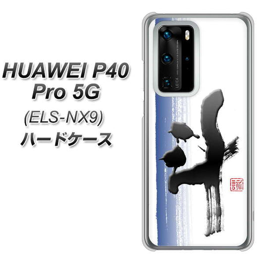 HUAWEI（ファーウェイ） P40 Pro 5G ELS-NX9 高画質仕上げ 背面印刷 ハードケース【OE829 斗】