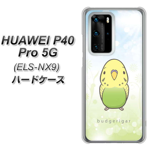 HUAWEI（ファーウェイ） P40 Pro 5G ELS-NX9 高画質仕上げ 背面印刷 ハードケース【SC838 セキセイインコ グリーン】