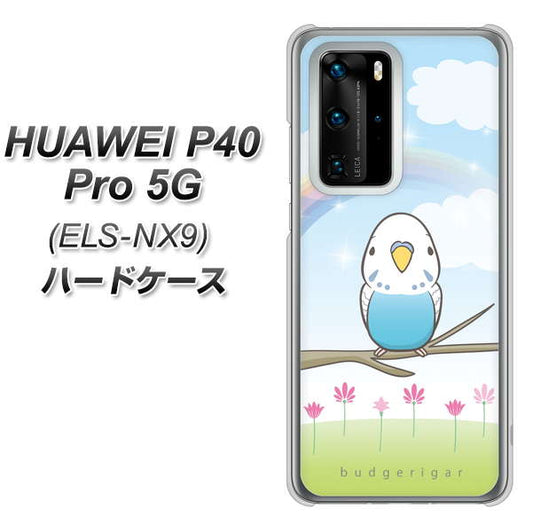 HUAWEI（ファーウェイ） P40 Pro 5G ELS-NX9 高画質仕上げ 背面印刷 ハードケース【SC839 セキセイインコ ブルー】