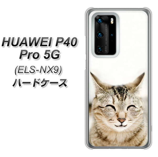 HUAWEI（ファーウェイ） P40 Pro 5G ELS-NX9 高画質仕上げ 背面印刷 ハードケース【VA801 笑福ねこ】
