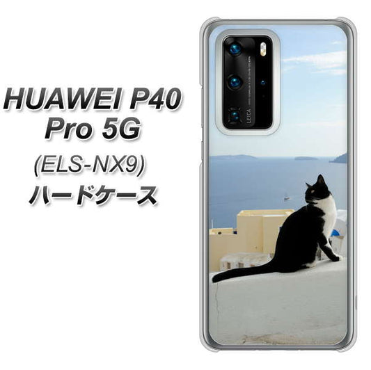 HUAWEI（ファーウェイ） P40 Pro 5G ELS-NX9 高画質仕上げ 背面印刷 ハードケース【VA805 ネコと地中海】