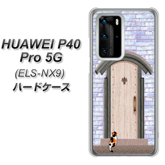 HUAWEI（ファーウェイ） P40 Pro 5G ELS-NX9 高画質仕上げ 背面印刷 ハードケース【YA952 石ドア02 素材クリア】