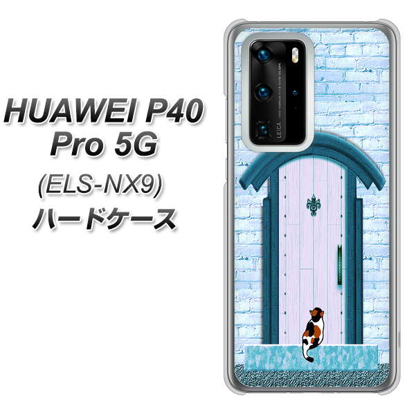 HUAWEI（ファーウェイ） P40 Pro 5G ELS-NX9 高画質仕上げ 背面印刷 ハードケース【YA953 石ドア03 素材クリア】