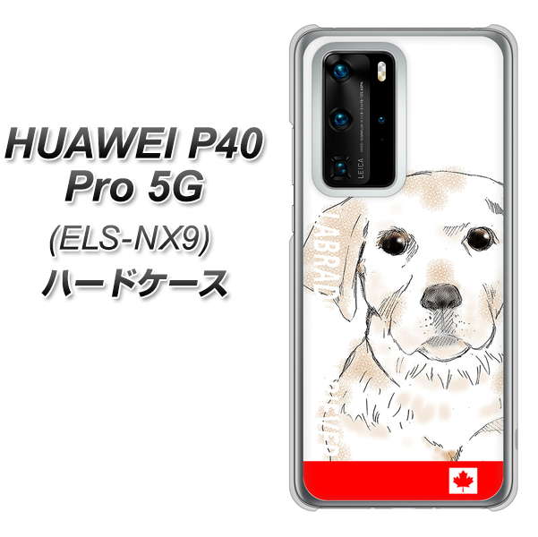 HUAWEI（ファーウェイ） P40 Pro 5G ELS-NX9 高画質仕上げ 背面印刷 ハードケース【YD821 ラブラドールレトリバー02】