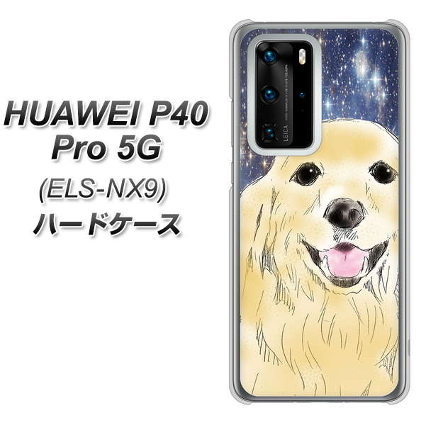 HUAWEI（ファーウェイ） P40 Pro 5G ELS-NX9 高画質仕上げ 背面印刷 ハードケース【YD828 ゴールデンレトリバー04】