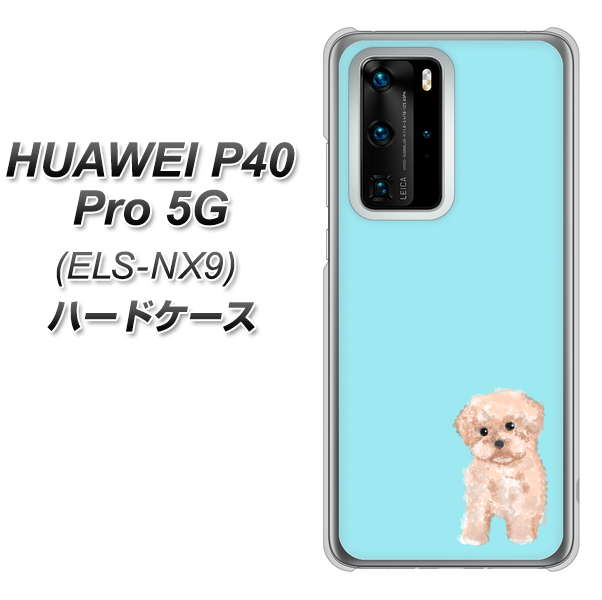 HUAWEI（ファーウェイ） P40 Pro 5G ELS-NX9 高画質仕上げ 背面印刷 ハードケース【YJ062 トイプードルアプリコット（ブルー）】