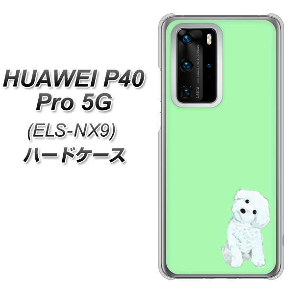 HUAWEI（ファーウェイ） P40 Pro 5G ELS-NX9 高画質仕上げ 背面印刷 ハードケース【YJ071 トイプードルホワイト（グリーン）】