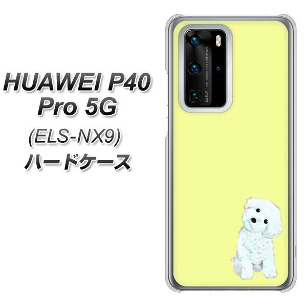 HUAWEI（ファーウェイ） P40 Pro 5G ELS-NX9 高画質仕上げ 背面印刷 ハードケース【YJ072 トイプードルホワイト（イエロー）】