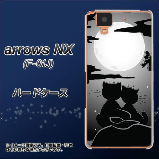 docomo アローズ NX F-01J 高画質仕上げ 背面印刷 ハードケース【342 月夜の二人】