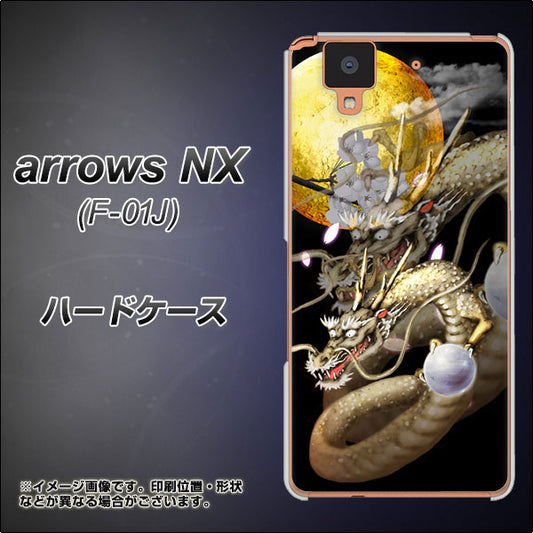 docomo アローズ NX F-01J 高画質仕上げ 背面印刷 ハードケース【1003 月と龍】