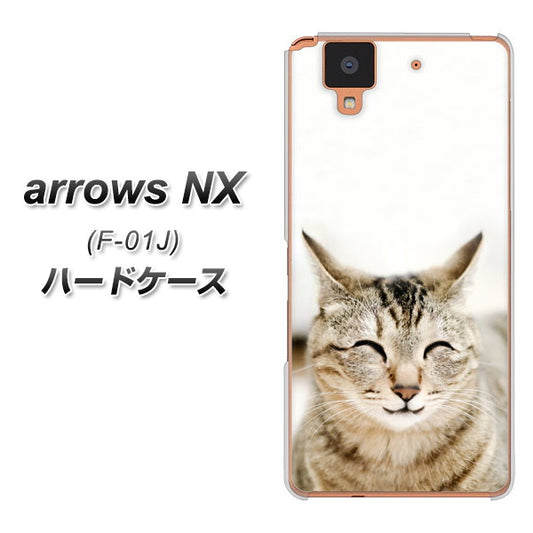 docomo アローズ NX F-01J 高画質仕上げ 背面印刷 ハードケース【VA801 笑福ねこ】