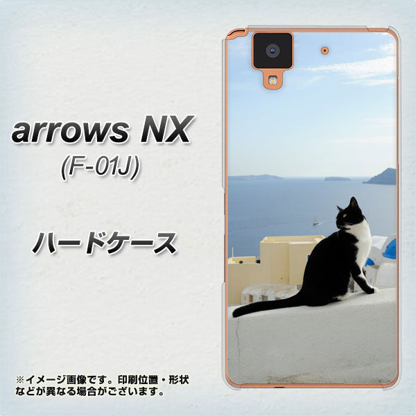 docomo アローズ NX F-01J 高画質仕上げ 背面印刷 ハードケース【VA805 ネコと地中海】