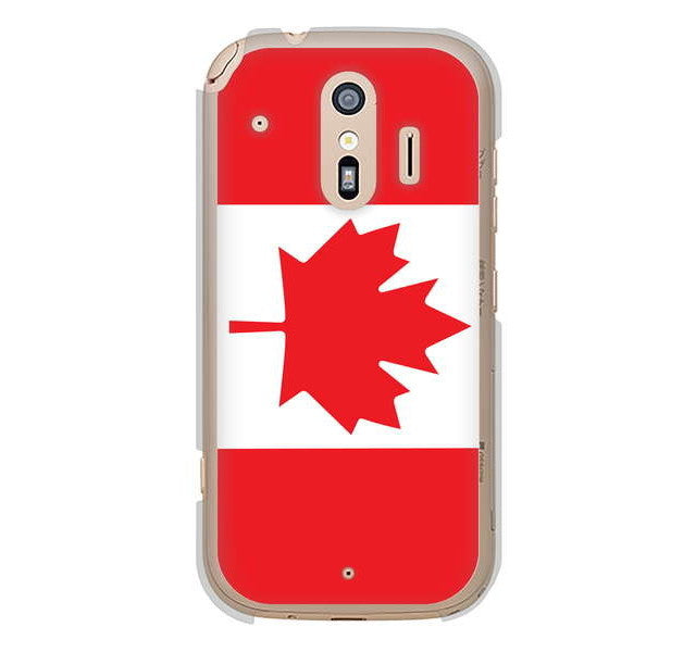 らくらくスマートフォン me F-01L docomo 高画質仕上げ 背面印刷 ハードケース 国旗