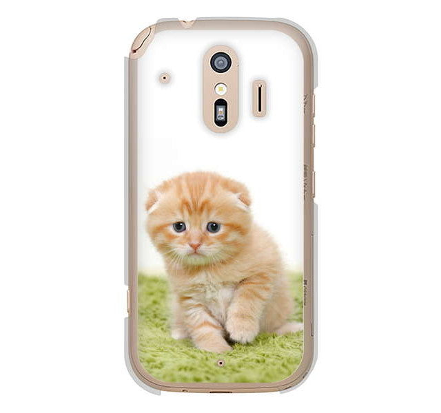 らくらくスマートフォン me F-01L docomo 高画質仕上げ 背面印刷 ハードケース 【VA802 ネコこっそり】