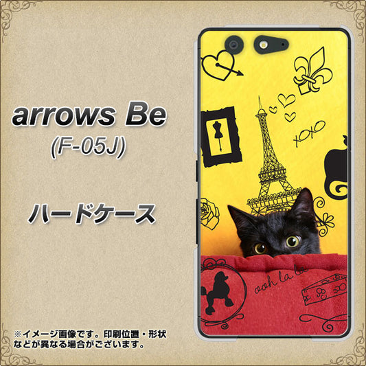 docomo アローズ ビー F-05J 高画質仕上げ 背面印刷 ハードケース【686 パリの子猫】
