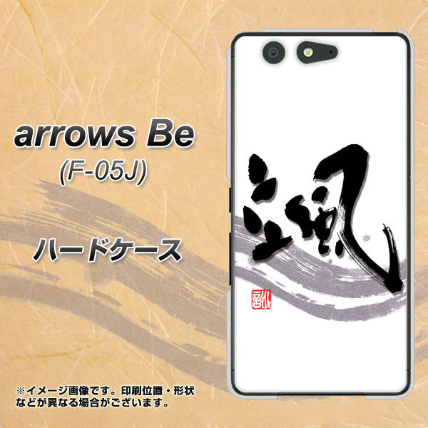 docomo アローズ ビー F-05J 高画質仕上げ 背面印刷 ハードケース【OE827 颯】