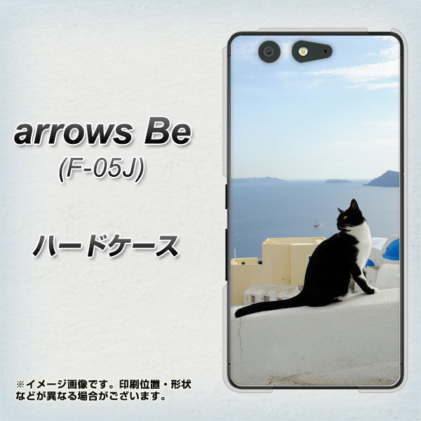 docomo アローズ ビー F-05J 高画質仕上げ 背面印刷 ハードケース【VA805 ネコと地中海】
