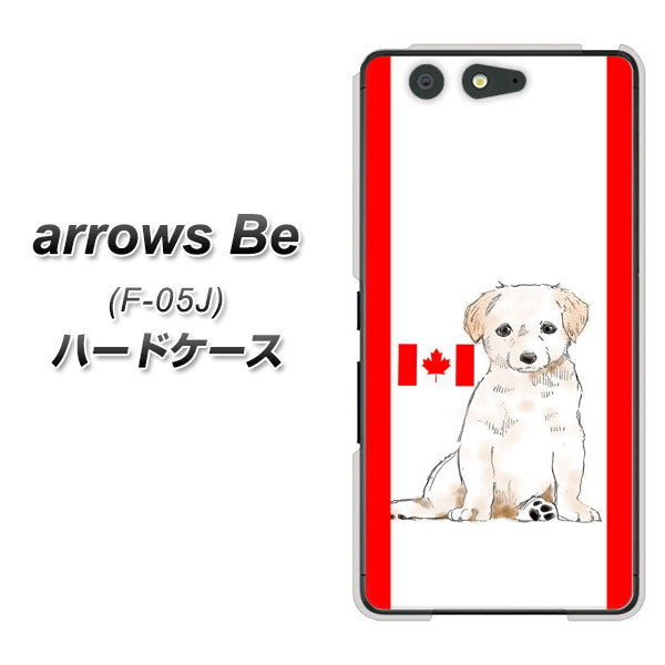 docomo アローズ ビー F-05J 高画質仕上げ 背面印刷 ハードケース【YD824 ラブラドールレトリバー05】