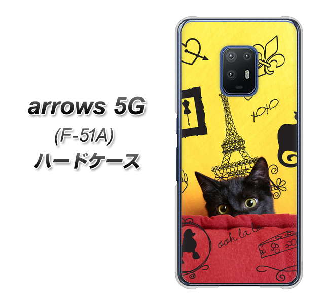 docomo アローズ5G F-51A 高画質仕上げ 背面印刷 ハードケース【686 パリの子猫】