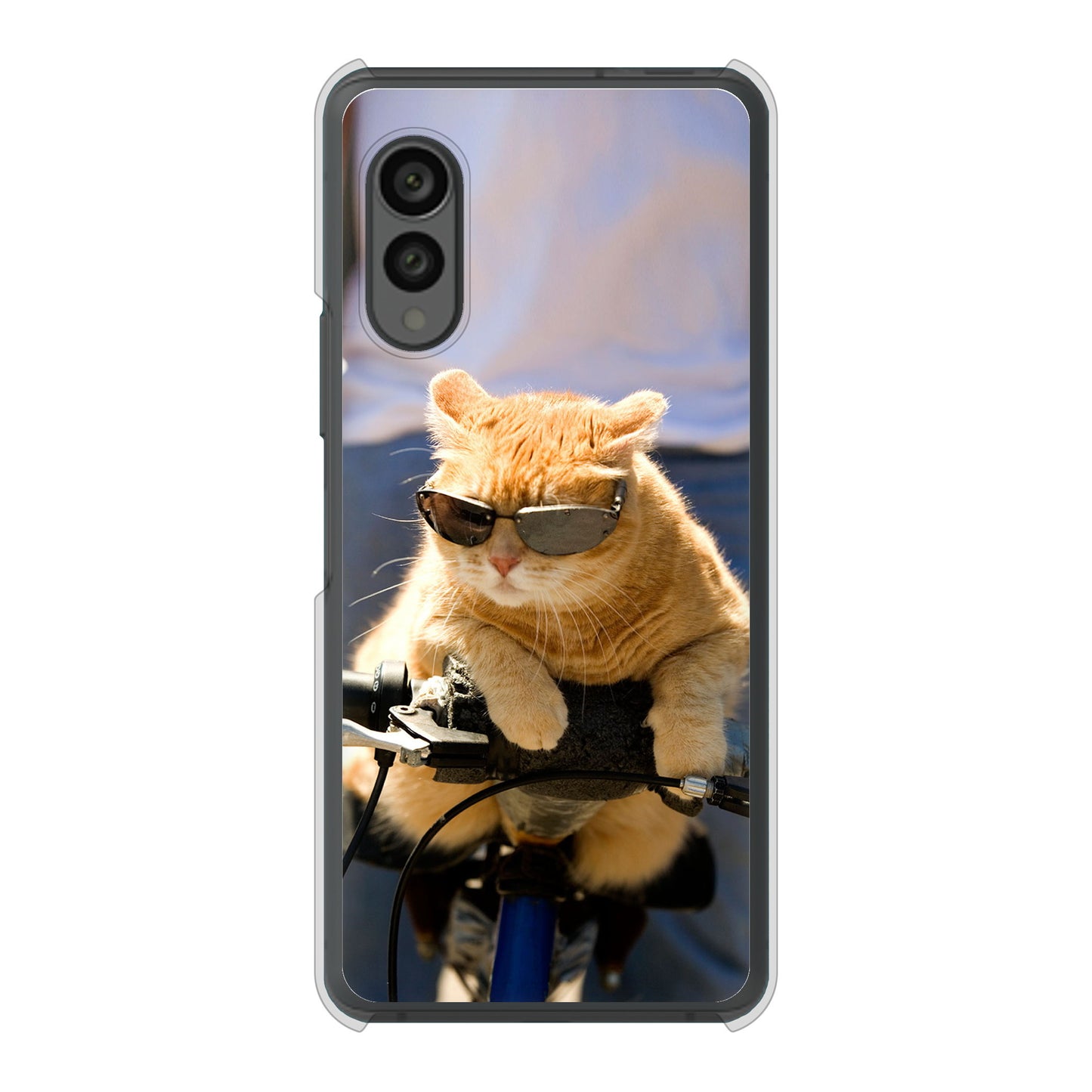 arrows N F-51C docomo 高画質仕上げ 背面印刷 ハードケース 【595 にゃんとサイクル】