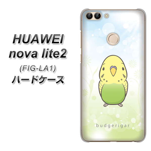 HUAWEI（ファーウェイ）nova lite 2 FIG-LA1 高画質仕上げ 背面印刷 ハードケース【SC838 セキセイインコ グリーン】