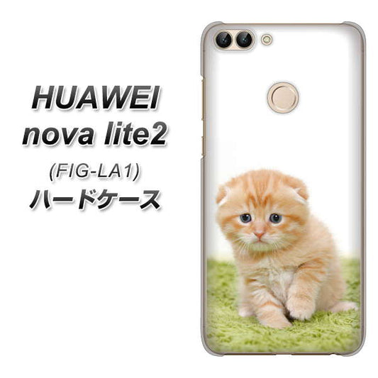 HUAWEI（ファーウェイ）nova lite 2 FIG-LA1 高画質仕上げ 背面印刷 ハードケース【VA802 ネコこっそり】