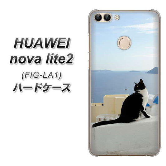 HUAWEI（ファーウェイ）nova lite 2 FIG-LA1 高画質仕上げ 背面印刷 ハードケース【VA805 ネコと地中海】