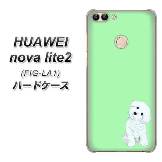 HUAWEI（ファーウェイ）nova lite 2 FIG-LA1 高画質仕上げ 背面印刷 ハードケース【YJ071 トイプードルホワイト（グリーン）】