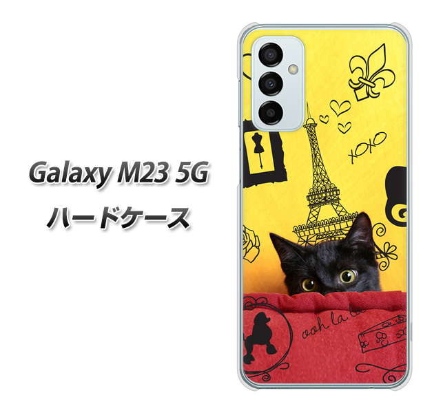 Galaxy M23 5G 高画質仕上げ 背面印刷 ハードケース【686 パリの子猫】