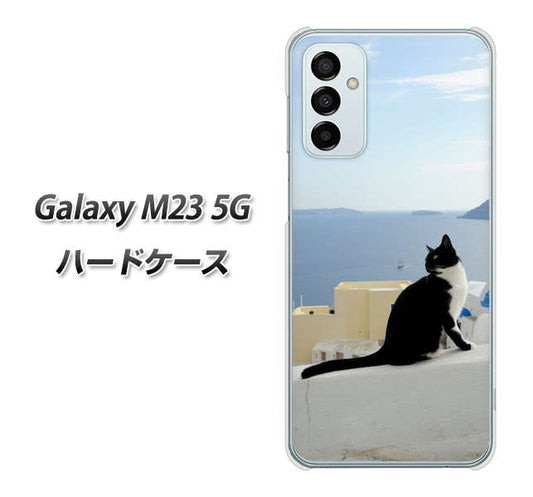 Galaxy M23 5G 高画質仕上げ 背面印刷 ハードケース【VA805 ネコと地中海】