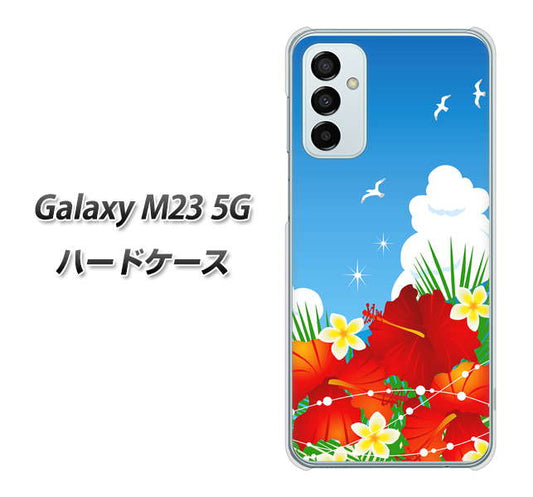 Galaxy M23 5G 高画質仕上げ 背面印刷 ハードケース【VA821 ハイビスカスと青空】