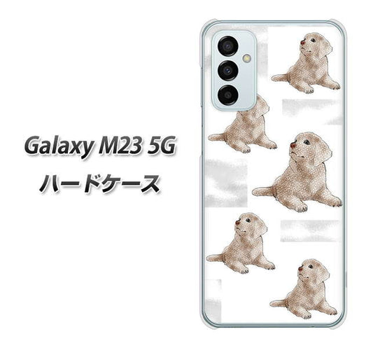 Galaxy M23 5G 高画質仕上げ 背面印刷 ハードケース【YD823 ラブラドールレトリバー04】