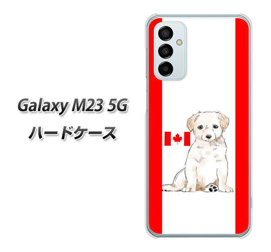 Galaxy M23 5G 高画質仕上げ 背面印刷 ハードケース【YD824 ラブラドールレトリバー05】