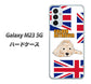 Galaxy M23 5G 高画質仕上げ 背面印刷 ハードケース【YD825 ゴールデンレトリバー01】