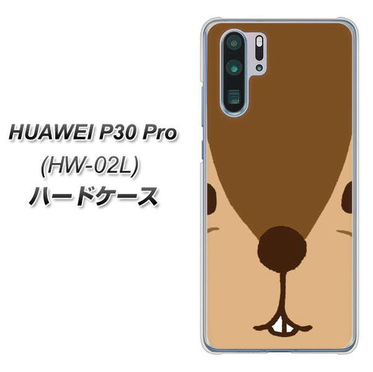 docomo HUAWEI（ファーウェイ） P30 Pro HW-02L 高画質仕上げ 背面印刷 ハードケース【349 りす】