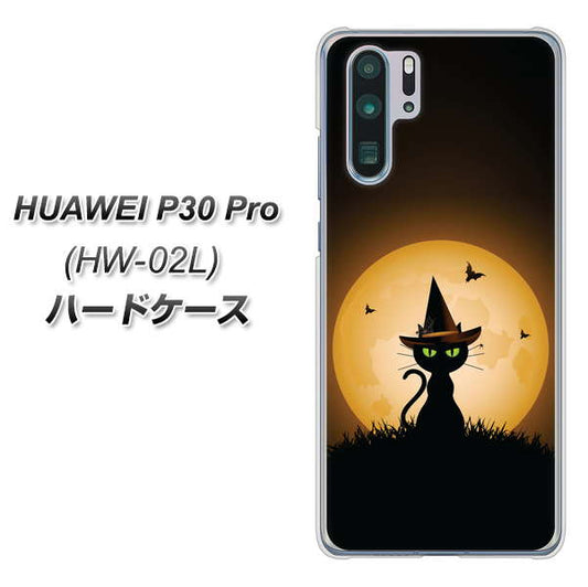 docomo HUAWEI（ファーウェイ） P30 Pro HW-02L 高画質仕上げ 背面印刷 ハードケース【440 猫の魔法使い】