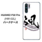 docomo HUAWEI（ファーウェイ） P30 Pro HW-02L 高画質仕上げ 背面印刷 ハードケース【OE827 颯】