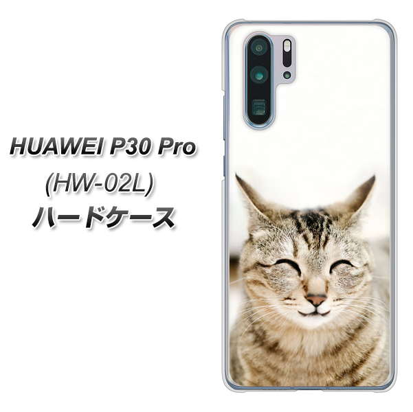 docomo HUAWEI（ファーウェイ） P30 Pro HW-02L 高画質仕上げ 背面印刷 ハードケース【VA801 笑福ねこ】