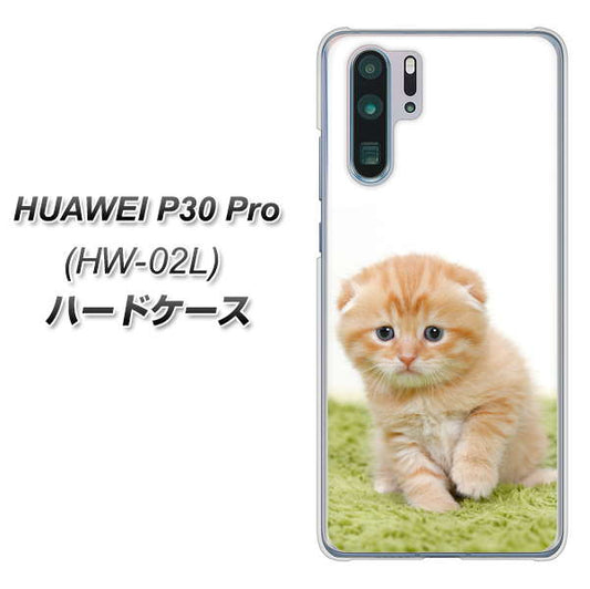 docomo HUAWEI（ファーウェイ） P30 Pro HW-02L 高画質仕上げ 背面印刷 ハードケース【VA802 ネコこっそり】
