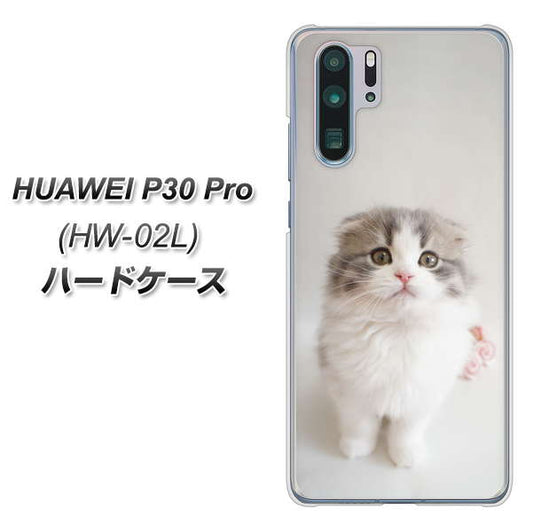 docomo HUAWEI（ファーウェイ） P30 Pro HW-02L 高画質仕上げ 背面印刷 ハードケース【VA803 まっていますネコ】