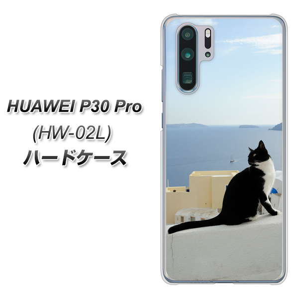 docomo HUAWEI（ファーウェイ） P30 Pro HW-02L 高画質仕上げ 背面印刷 ハードケース【VA805 ネコと地中海】