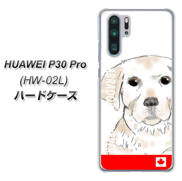 docomo HUAWEI（ファーウェイ） P30 Pro HW-02L 高画質仕上げ 背面印刷 ハードケース【YD821 ラブラドールレトリバー02】