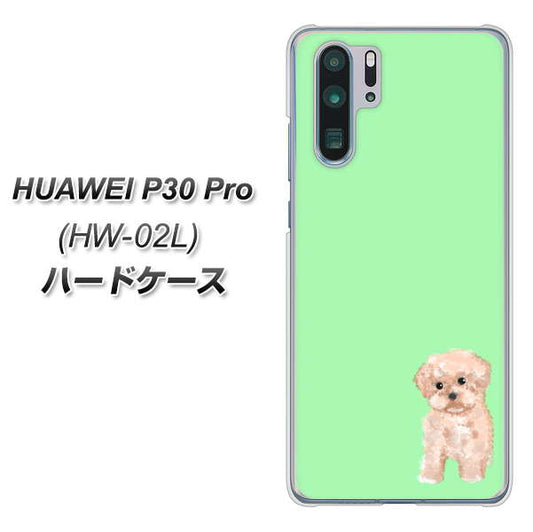 docomo HUAWEI（ファーウェイ） P30 Pro HW-02L 高画質仕上げ 背面印刷 ハードケース【YJ063 トイプードルアプリコット（グリーン）】