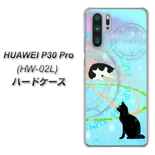 docomo HUAWEI（ファーウェイ） P30 Pro HW-02L 高画質仕上げ 背面印刷 ハードケース【YJ329 魔法陣猫　キラキラ　パステル】