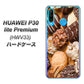 au HUAWEI（ファーウェイ） P30 lite Premium HWV33 高画質仕上げ 背面印刷 ハードケース【442 クッキー mix】