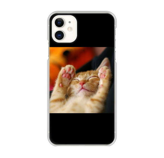 iPhone 11 高画質仕上げ 背面印刷 ハードケース 【VA804 爆睡するネコ】